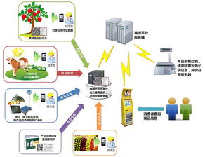 物聯網技術賦能產業升級 防偽、食品安全與新材料研發的革新應用